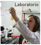 laboratorio