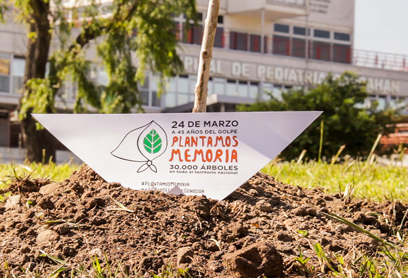 Plantamos memoria portada web