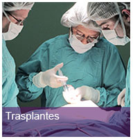 trasplantes